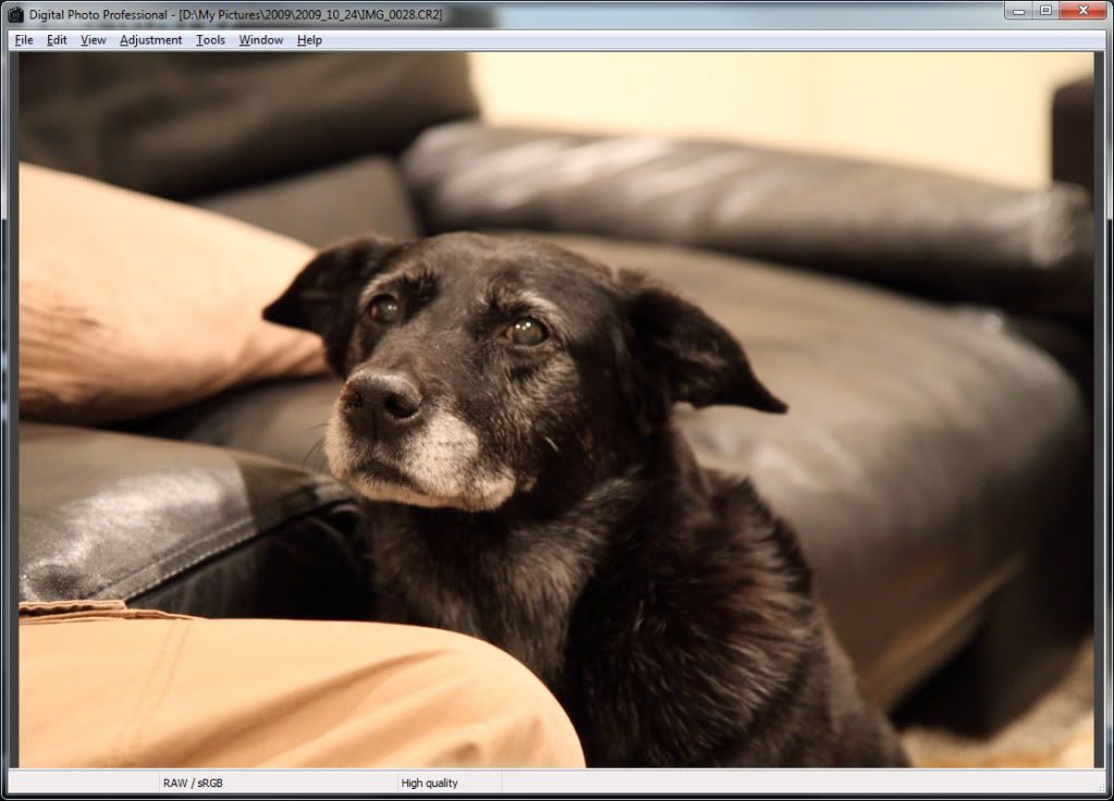 IMAGE: http://i29.photobucket.com/albums/c288/dawei213/POTN/DPP.jpg