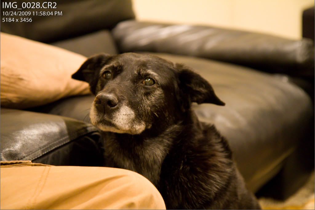 IMAGE: http://i29.photobucket.com/albums/c288/dawei213/POTN/LR25.jpg