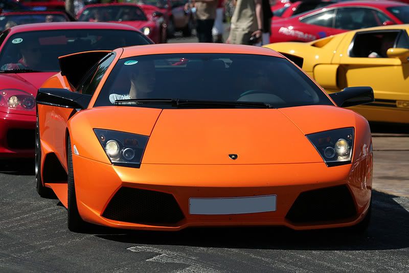 IMAGE: http://i29.photobucket.com/albums/c289/Ferosso/13.jpg