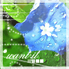 Mornongflower.gif