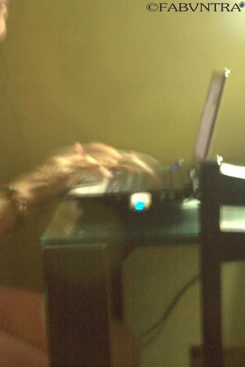 IMAGE: http://i29.photobucket.com/albums/c291/adamjimsandlercarey/my%20photogs/2c7e034d.jpg