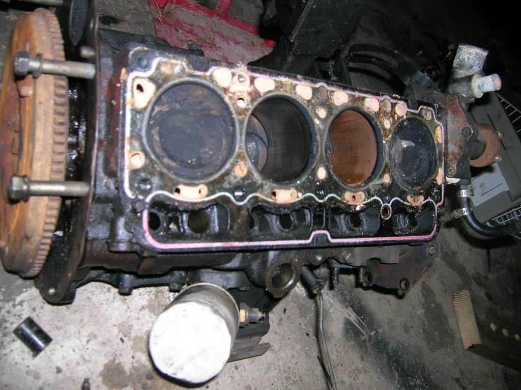 DSCN0976.jpg