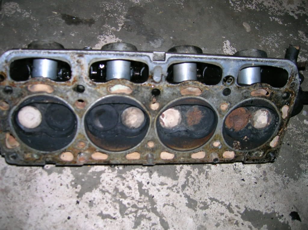 DSCN0977.jpg