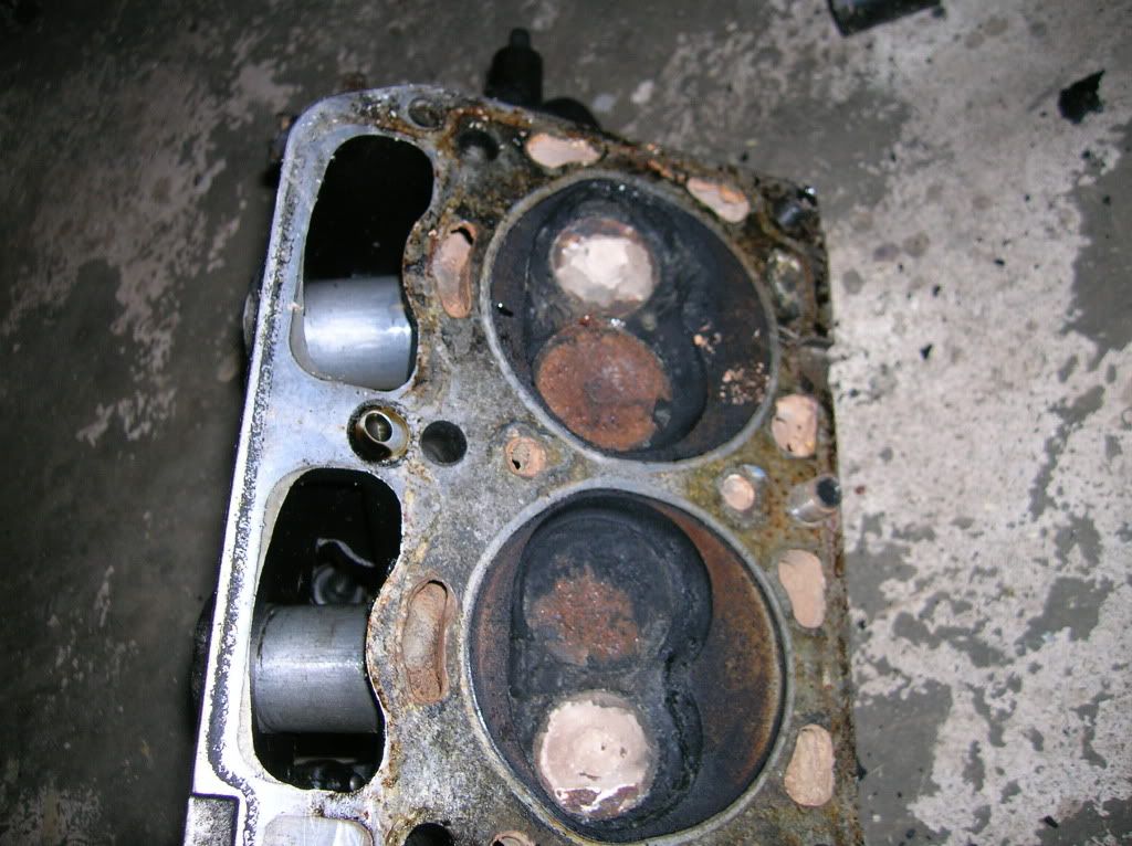 DSCN0978.jpg