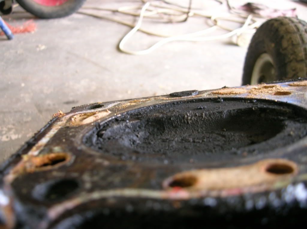 DSCN1008.jpg
