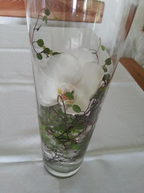 20130602_102224_zps11bb5e3c.jpg