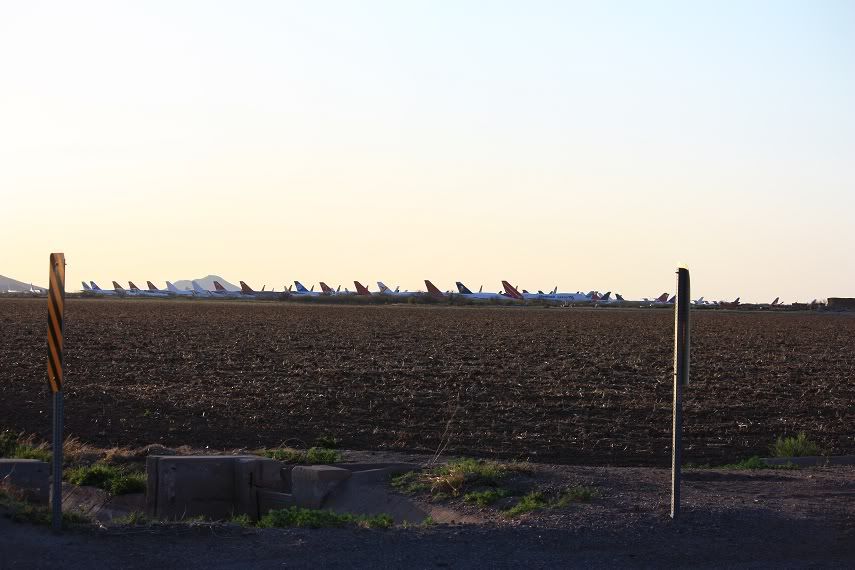 marana1.jpg