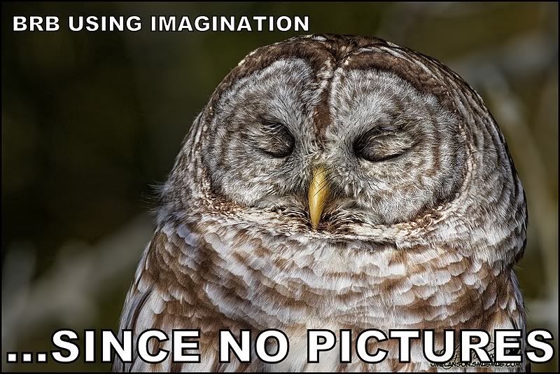 b.jpg