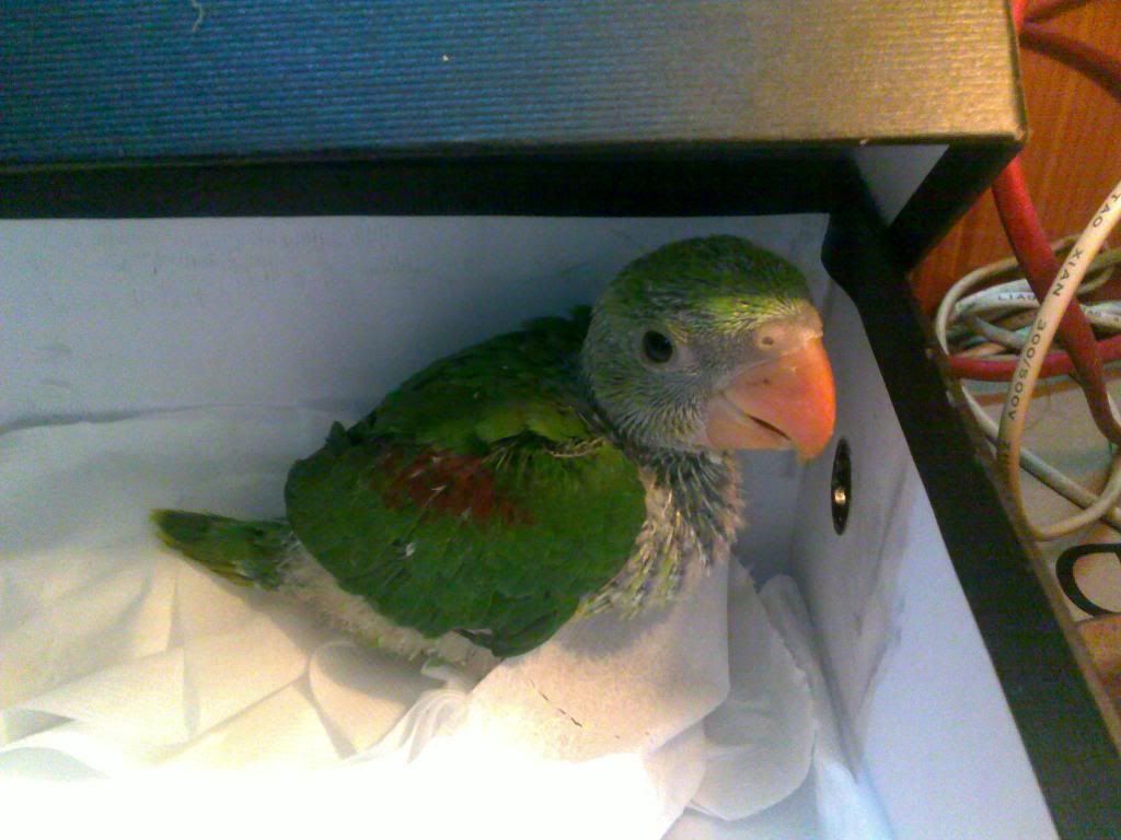 100320131181.jpg