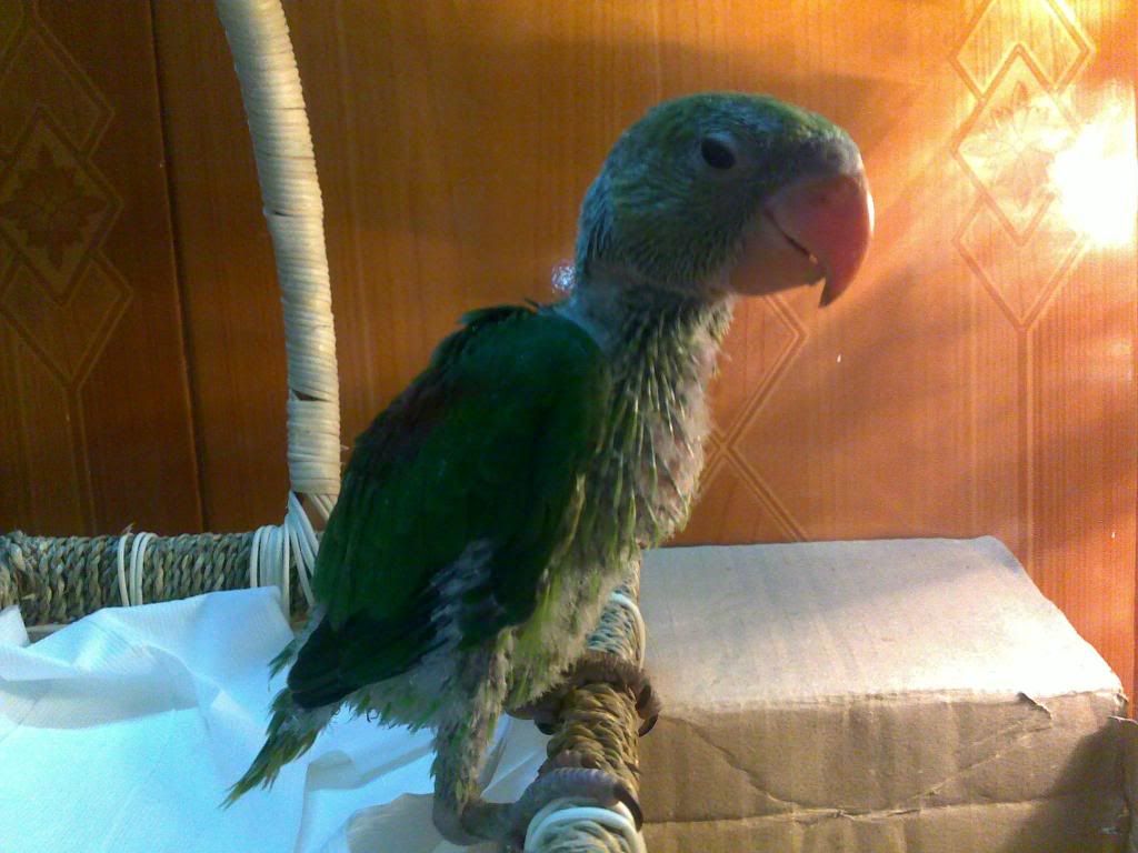 120320131185.jpg