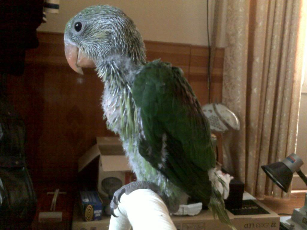 130320131187.jpg