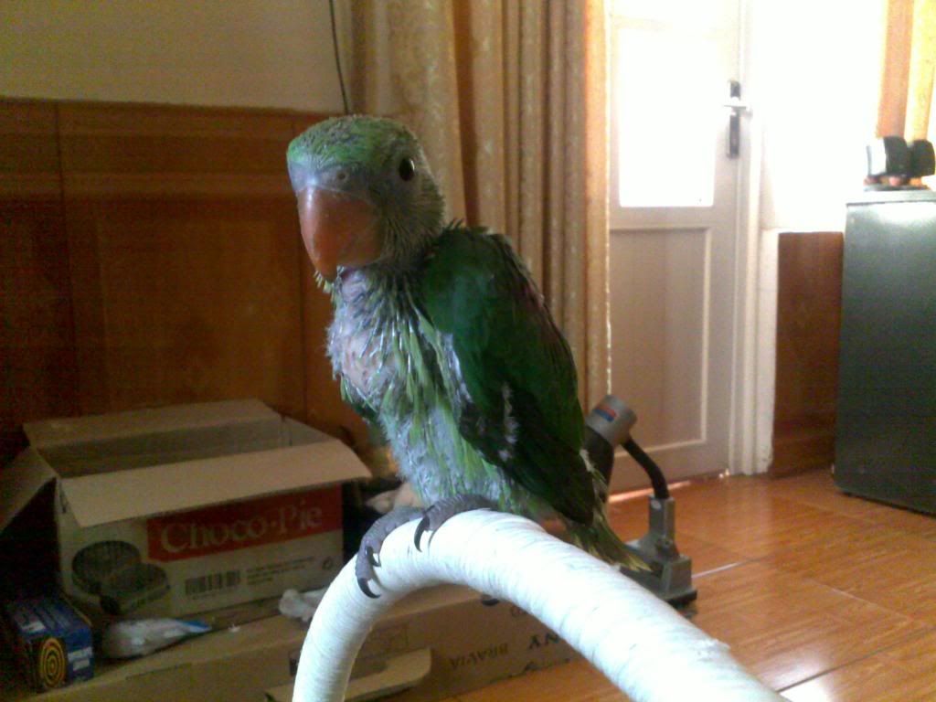 130320131188.jpg