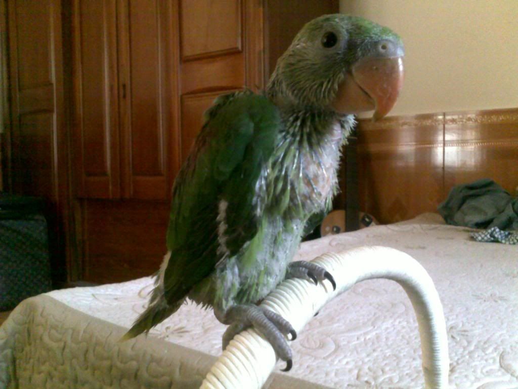 130320131189.jpg
