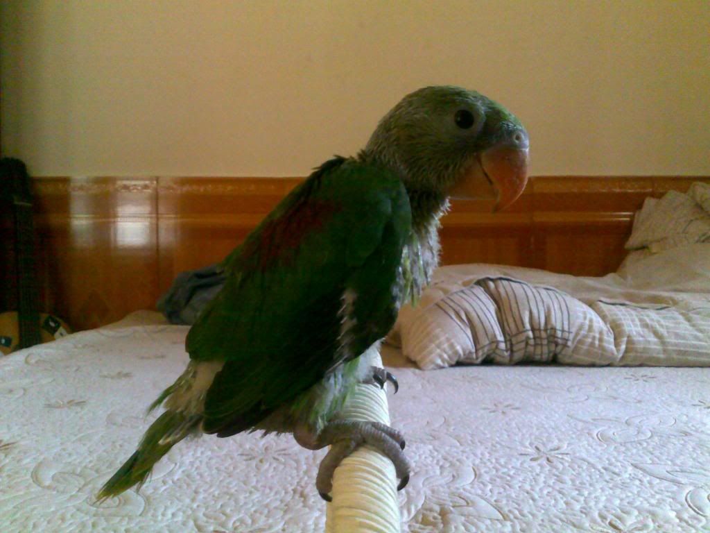 130320131190.jpg