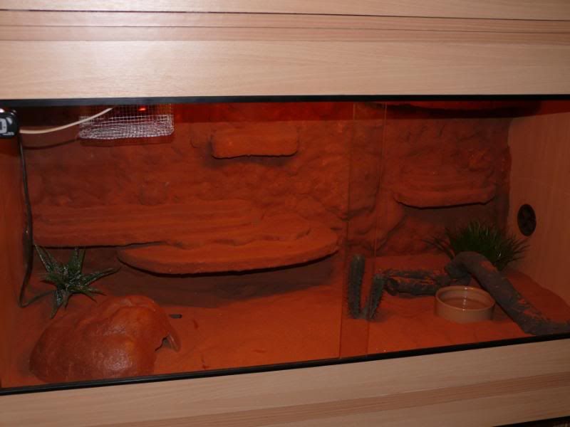 fake rock backgrounds! Reptile Forums