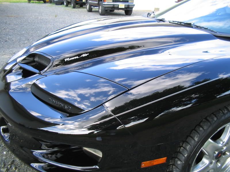 Picture155.jpg