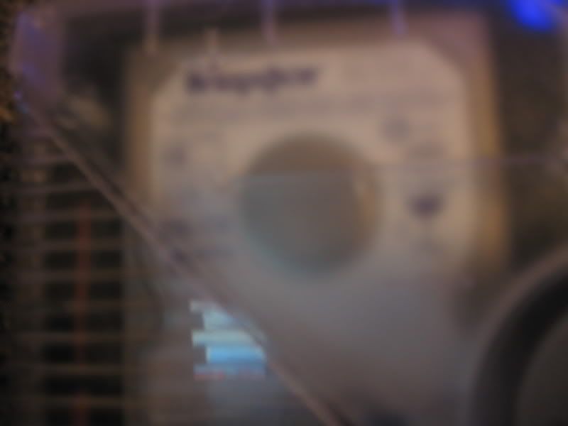IPB Image