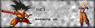 banner.png