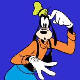 goofy.jpg