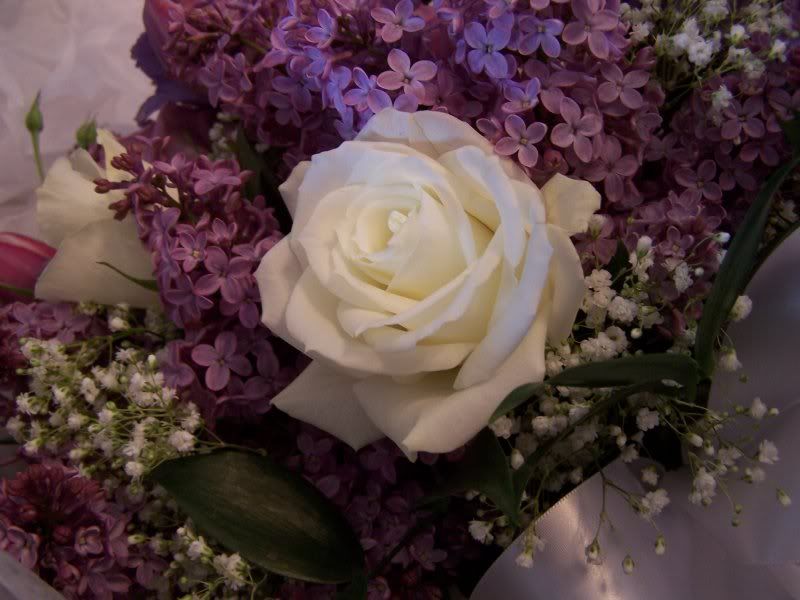 pretty rose in the bridal bouquet