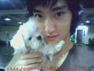 Camwhore Shiwon From Super Junior Page 8 K Entertainment