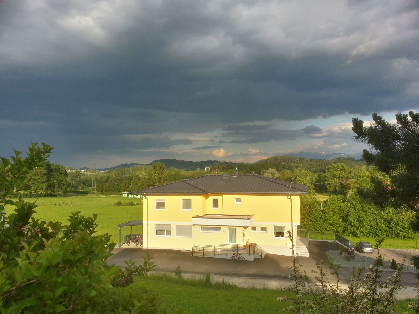 Bild