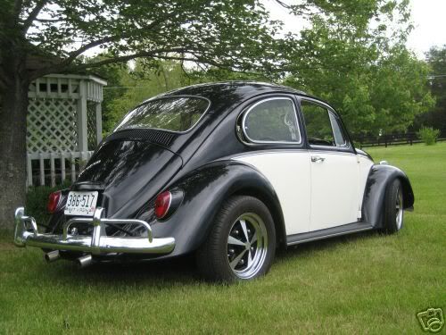 Beetle 67