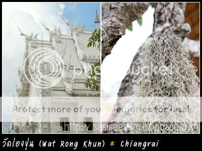  . § - Ѵͧ ͹͹ Ѵ਴ǧ Wat Rong Khun, Hot Spring : Chiangrai