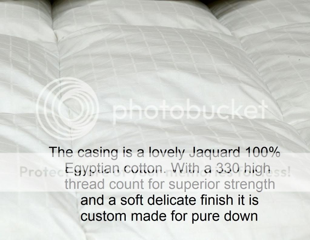 downduvet.jpg picture by viceroybedding