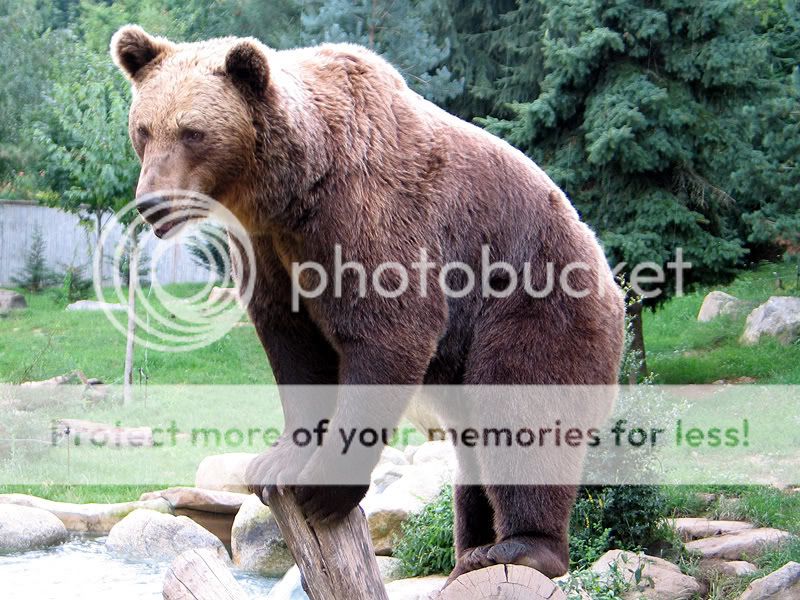 凉一下|贴图乐园 - 昆山论坛 - powered by phpwind