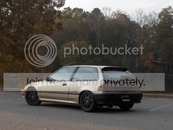 Maxima Mutt In Gta V Maxima Forums