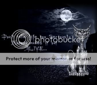 Photo Sharing and Video Hosting at Photobucket