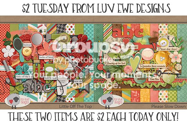2dollartues0119.jpg
