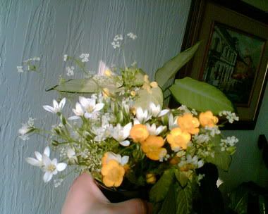 Image005.jpg